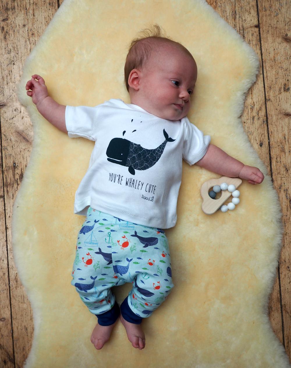 Boodle Whale Baby Outfit. Nautical Organic Leggings And T-shirt Set