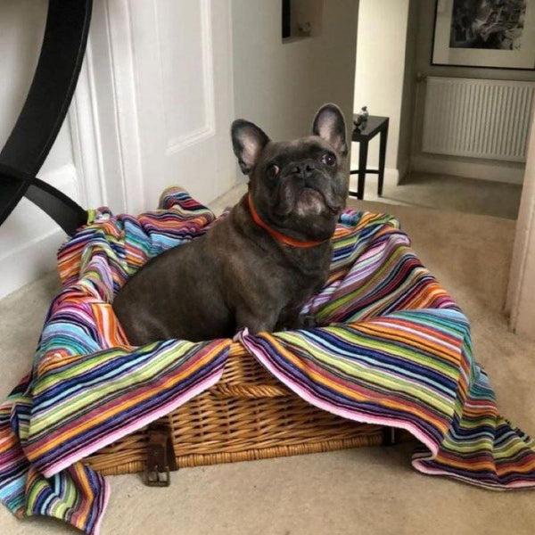 Bown Of London Pet Blanket - Daylight Size *