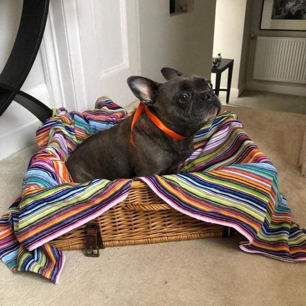 bown of london Pet Blanket - Daylight Size *