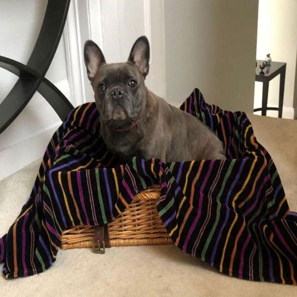 Bown Of London Pet Blanket - Mozart Size *