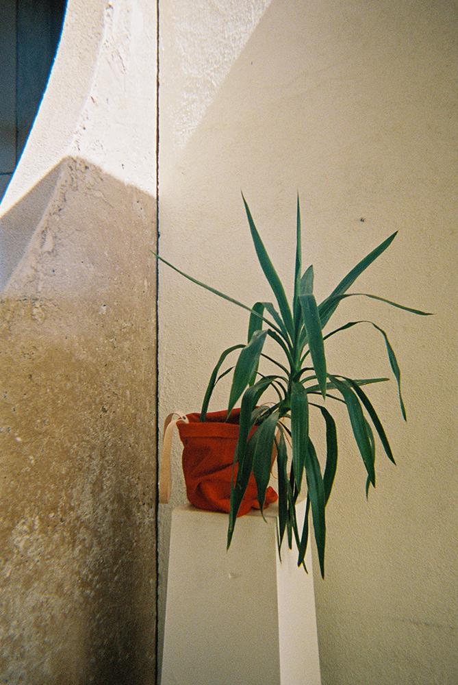 Branco Lisboa Tote Red Suede