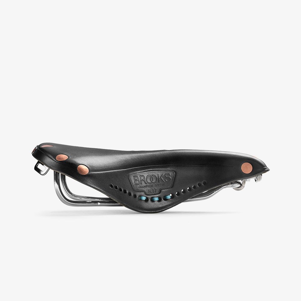 Brooks England B17 Special Blue Lug
