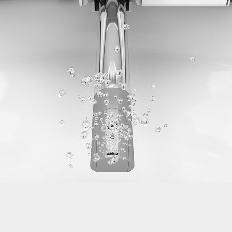 Brookstone Bio Bidet Bliss BB-1700 Premier Class Bidet Seat- Elongated White