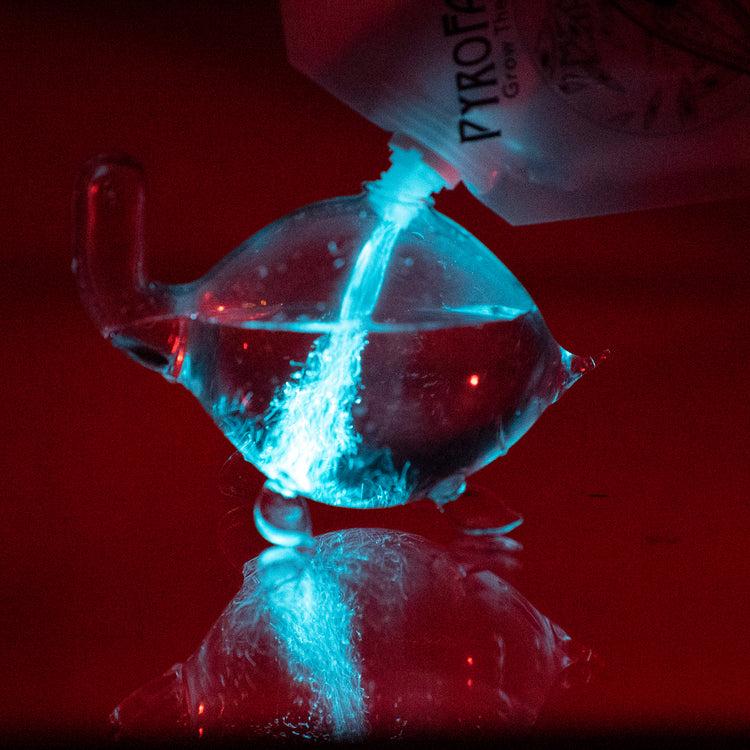 Brookstone Bioluminescent Bio Turtle