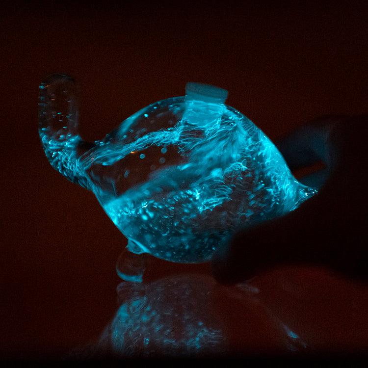 Brookstone Bioluminescent Bio Turtle