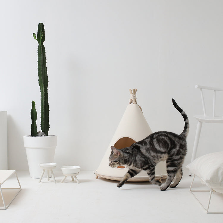 Brookstone Choco Pet Tent