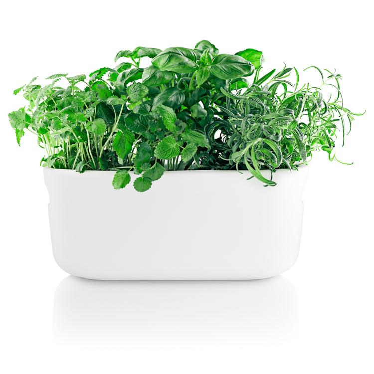 Brookstone Eva Solo Self-Watering Herb Organizer