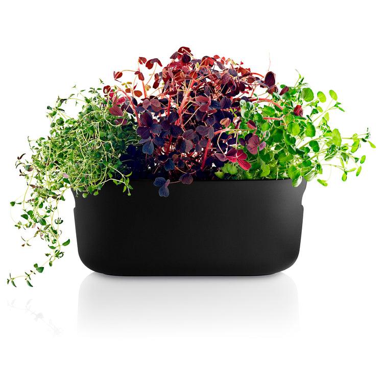 brookstone Eva Solo Self-Watering Herb Organizer