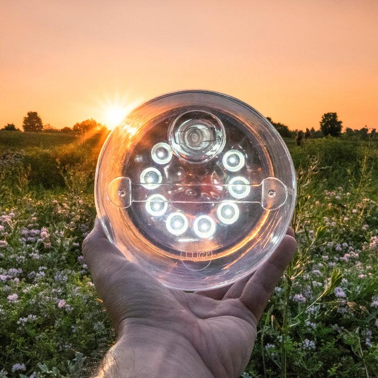 Brookstone Luci Original: Solar Inflatable Lantern