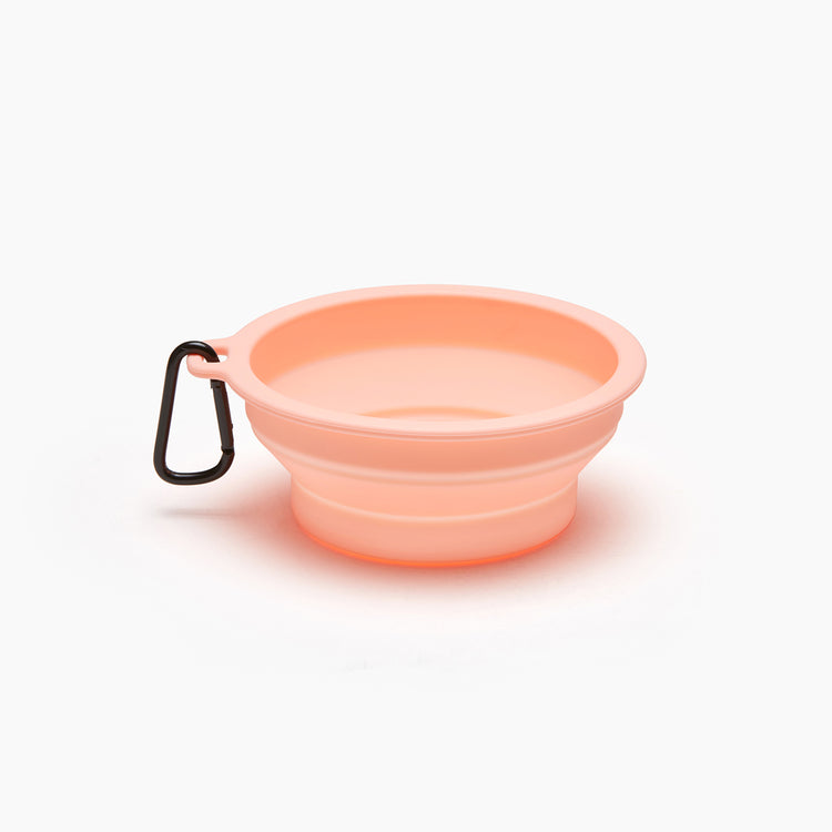 Brookstone Macaron Collapsible Travel Pet Bowl