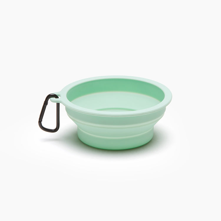 brookstone Macaron Collapsible Travel Pet Bowl