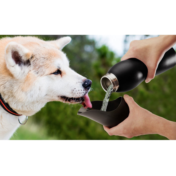 Brookstone Mobile Dog Gear 25 Oz Water Bottle