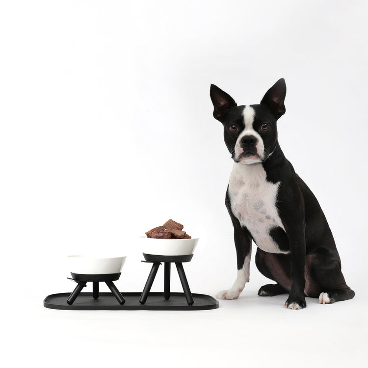 Brookstone Oreo Pet Mat