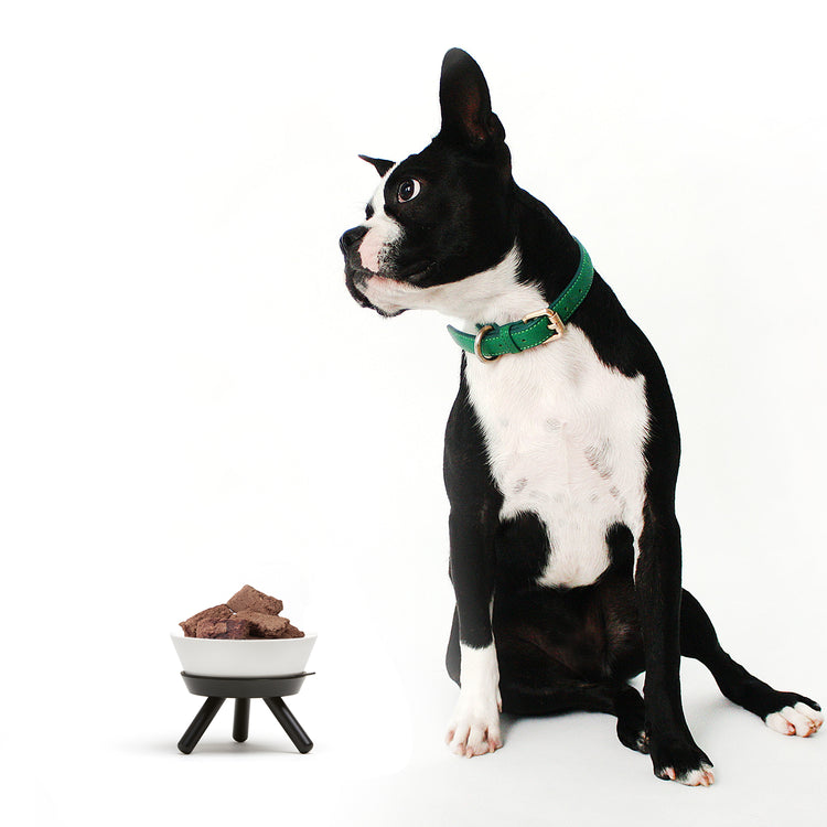 Brookstone Oreo Pet Table With Bowl - Short