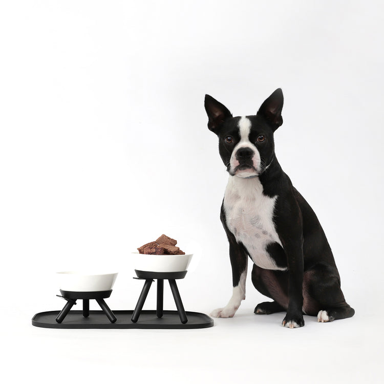 Brookstone Oreo Pet Table With Bowl - Short