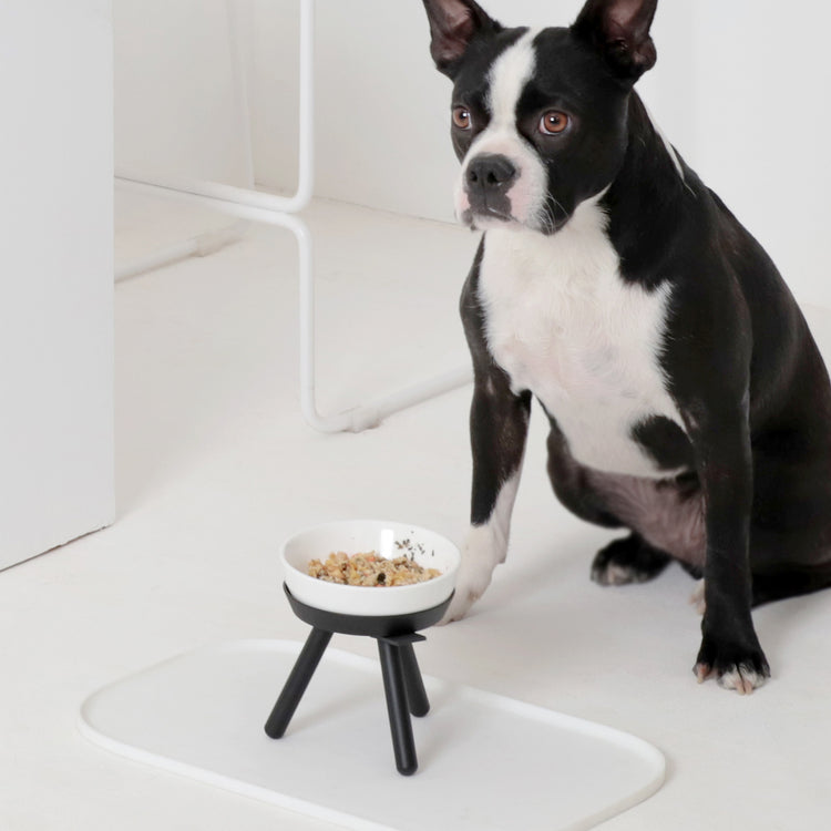 Brookstone Oreo Pet Table With Bowl - Tall