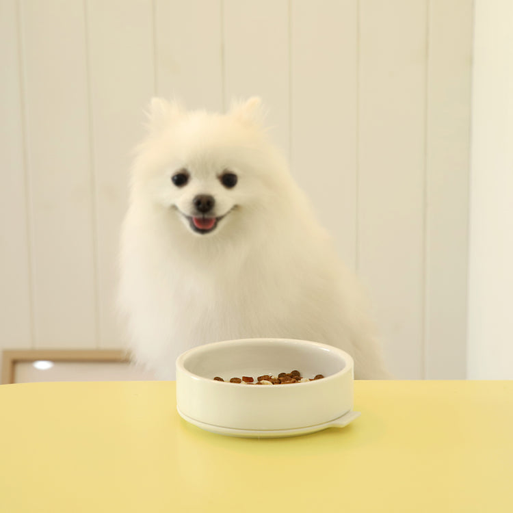 Brookstone Pudding Pet Bowl
