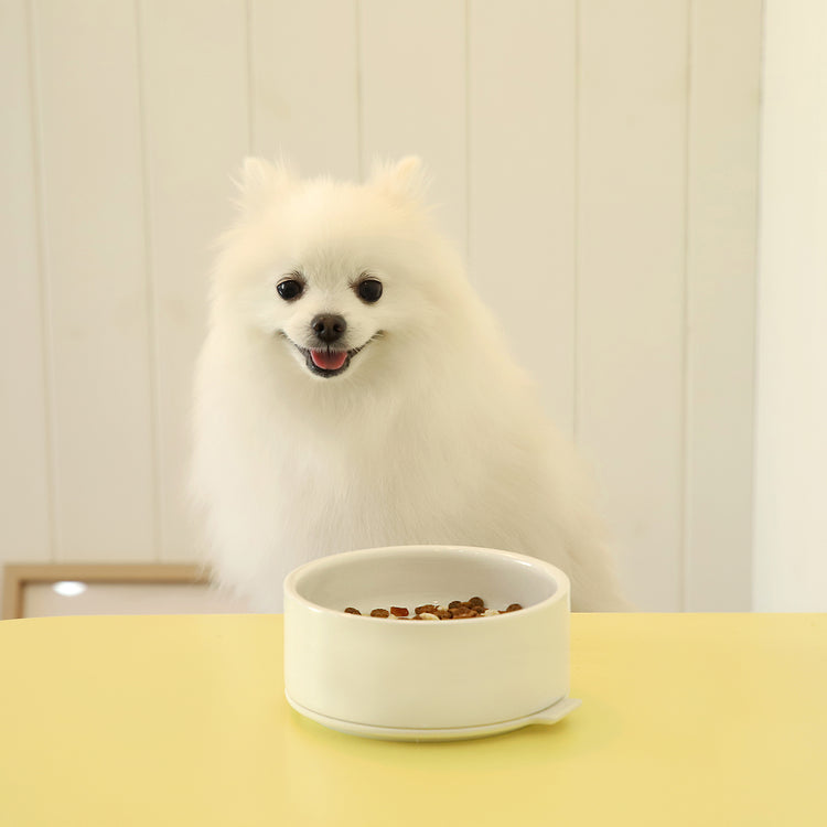 Brookstone Pudding Pet Bowl