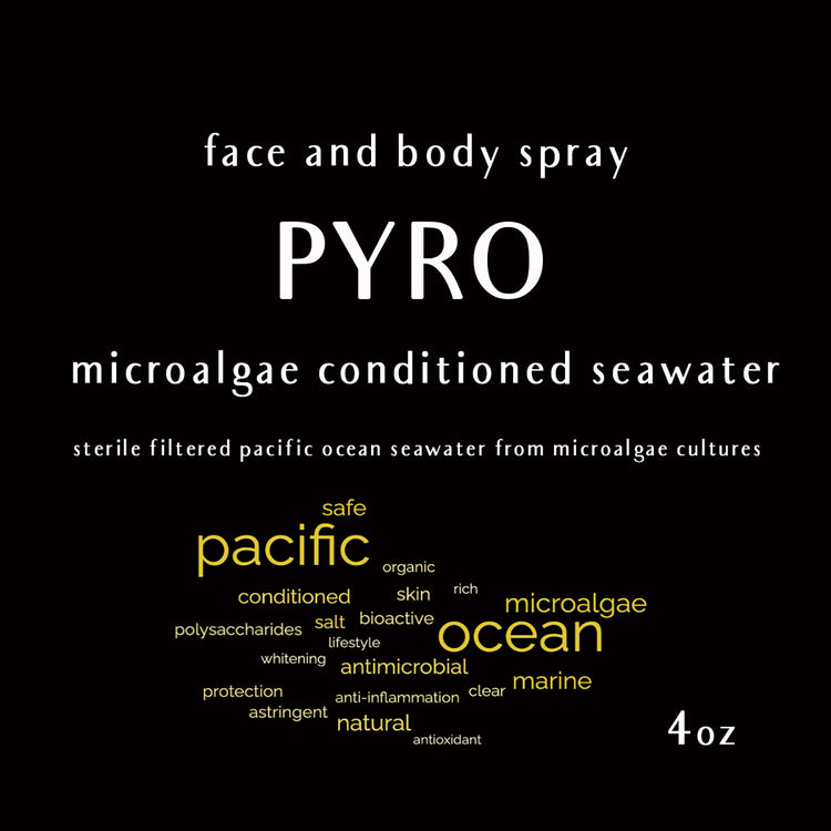 Brookstone PYRO Sea Salt Spray