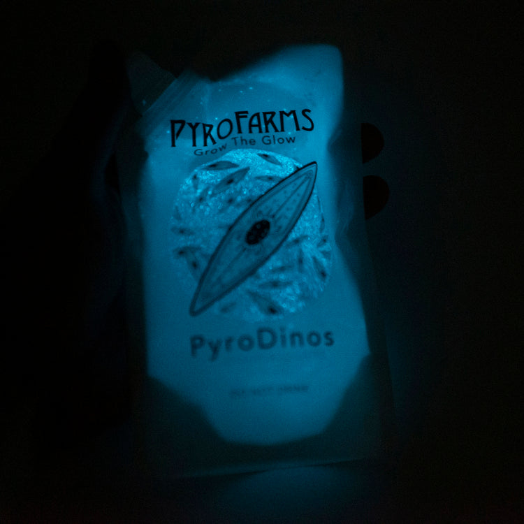 Brookstone PyroDinos With DinoNutrients (300ml)