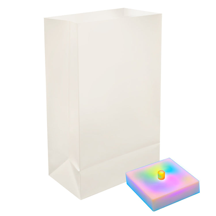Brookstone Color Changing Battery Operated Luminaria Kit With Timer