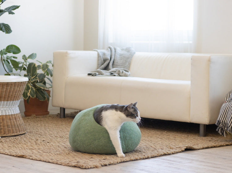 Brookstone Eucalyptus Green | Round Style Cave By Fuzzy Cove