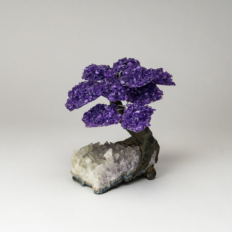 brookstone Large - Genuine Amethyst Clustered Gemstone Tree on Clear Quartz Matrix (The Relaxation Tree)