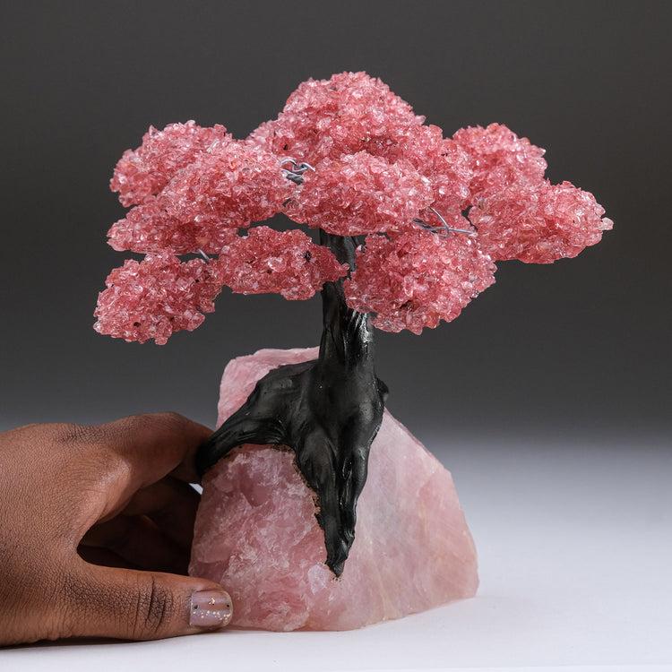 brookstone Large - Genuine Rose Quartz Clustered Gemstone Tree on Rose Quartz Matrix (The Eternal Love Tree)