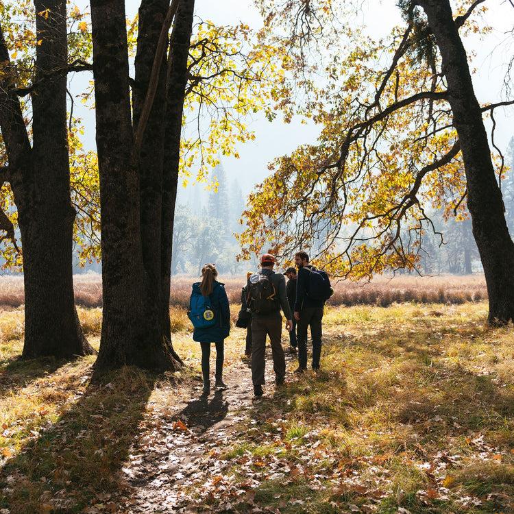 Brookstone Luci Pro Outdoor 2.0: Solar Inflatable Lantern + Charger