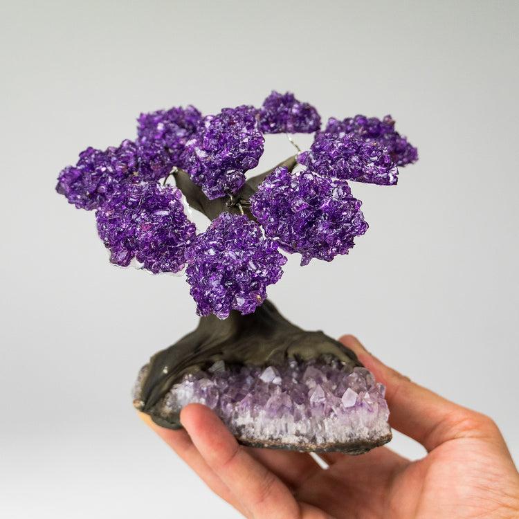 Brookstone Medium - Amethyst Clustered Gemstone Tree On Amethyst Matrix (The Protection Tree)