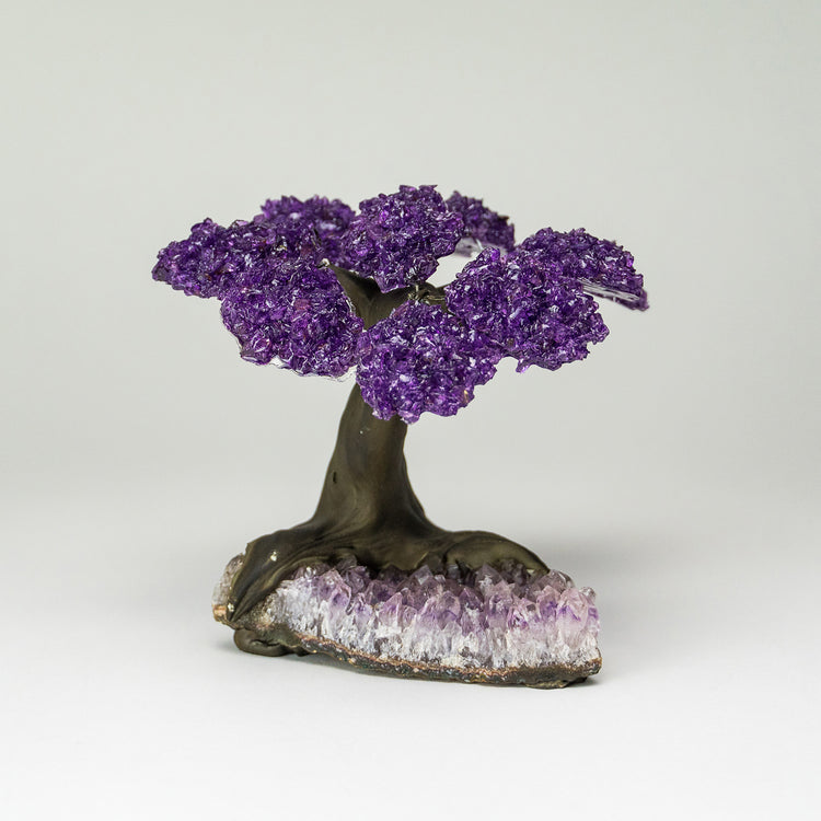 brookstone Medium - Amethyst Clustered Gemstone Tree on Amethyst Matrix (The Protection Tree)