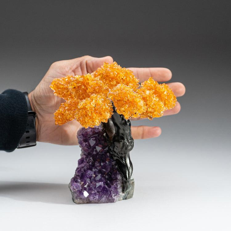Brookstone Medium - Citrine Clustered Gemstone Tree On Amethyst Matrix (The Money Tree)