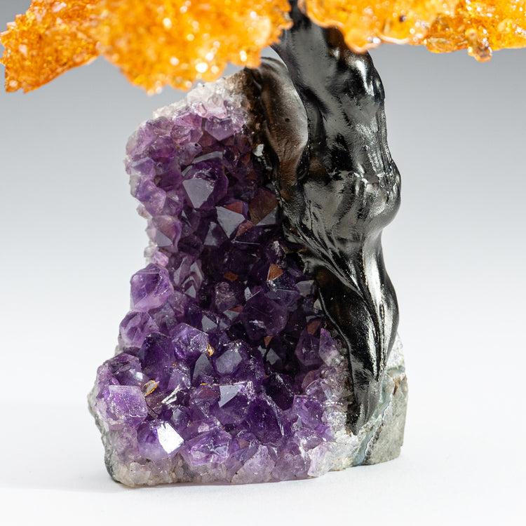 Brookstone Medium - Citrine Clustered Gemstone Tree On Amethyst Matrix (The Money Tree)