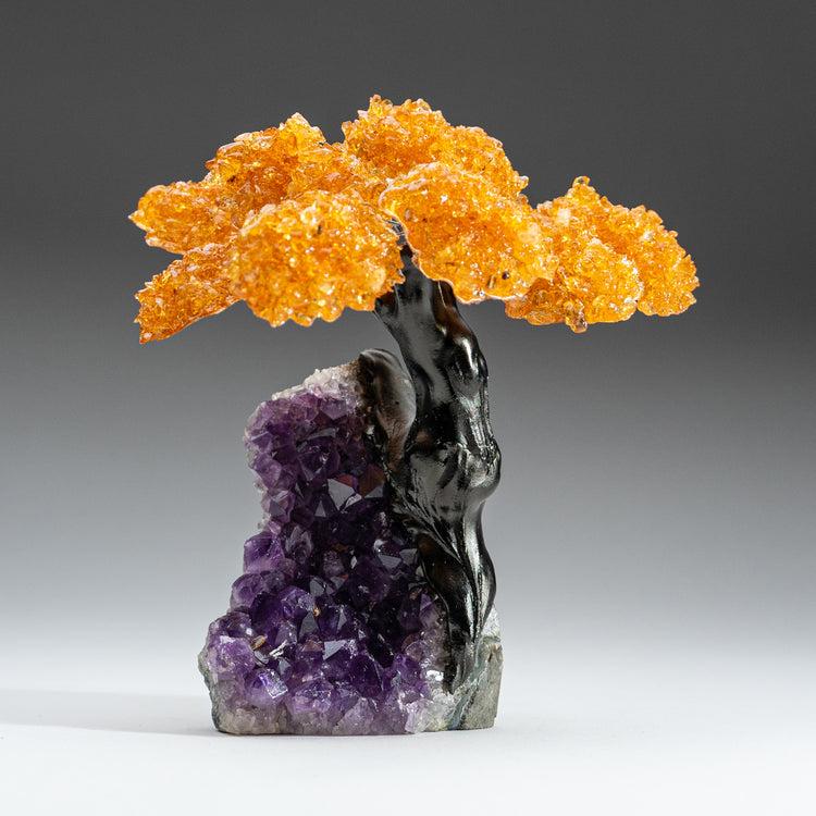 Brookstone Medium - Citrine Clustered Gemstone Tree On Amethyst Matrix (The Money Tree)