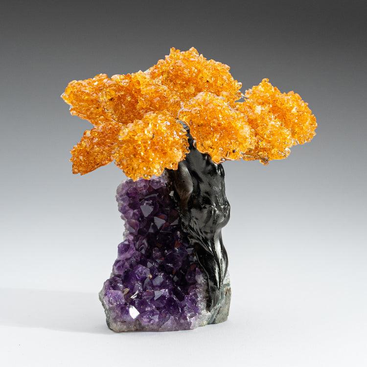 brookstone Medium - Citrine Clustered Gemstone Tree on Amethyst Matrix (The Money Tree)