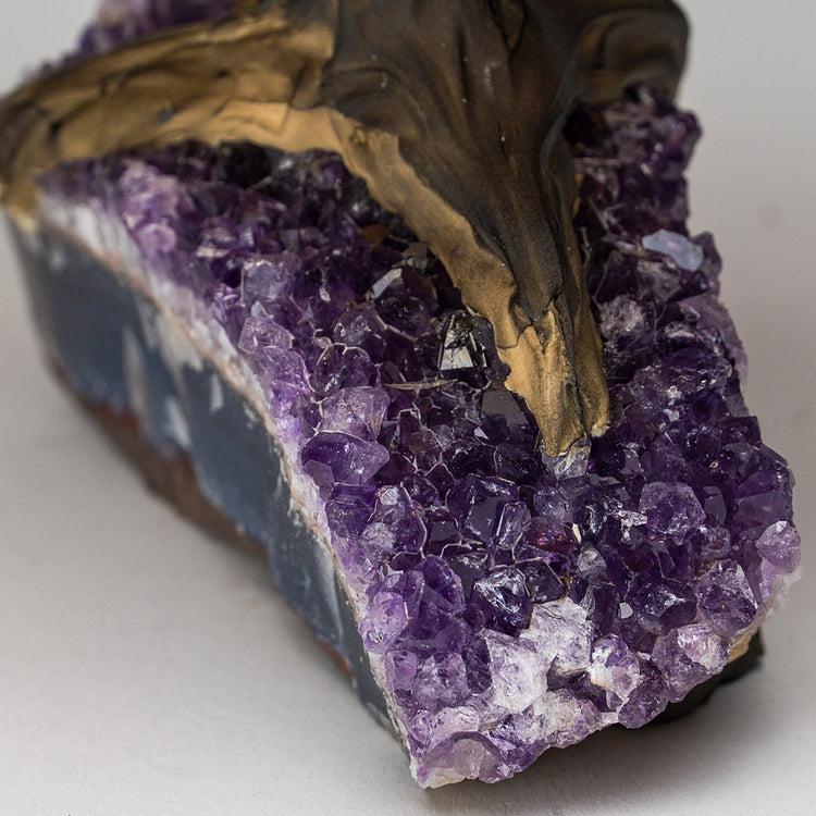 Brookstone Medium - Genuine Citrine Clustered Gemstone Tree On Amethyst Matrix (The Money Tree)