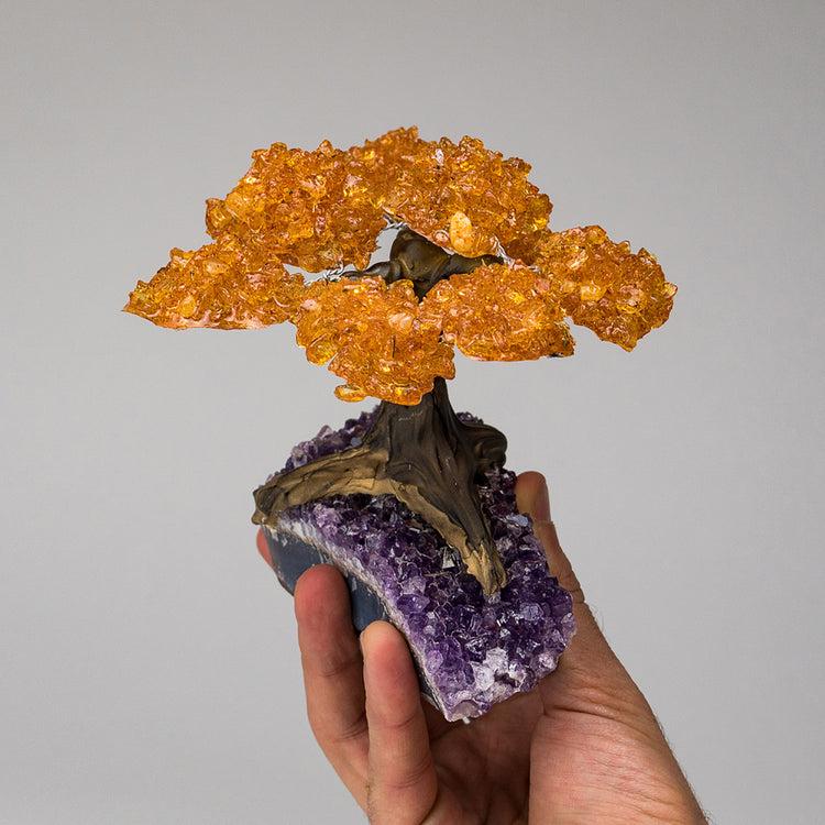 Brookstone Medium - Genuine Citrine Clustered Gemstone Tree On Amethyst Matrix (The Money Tree)