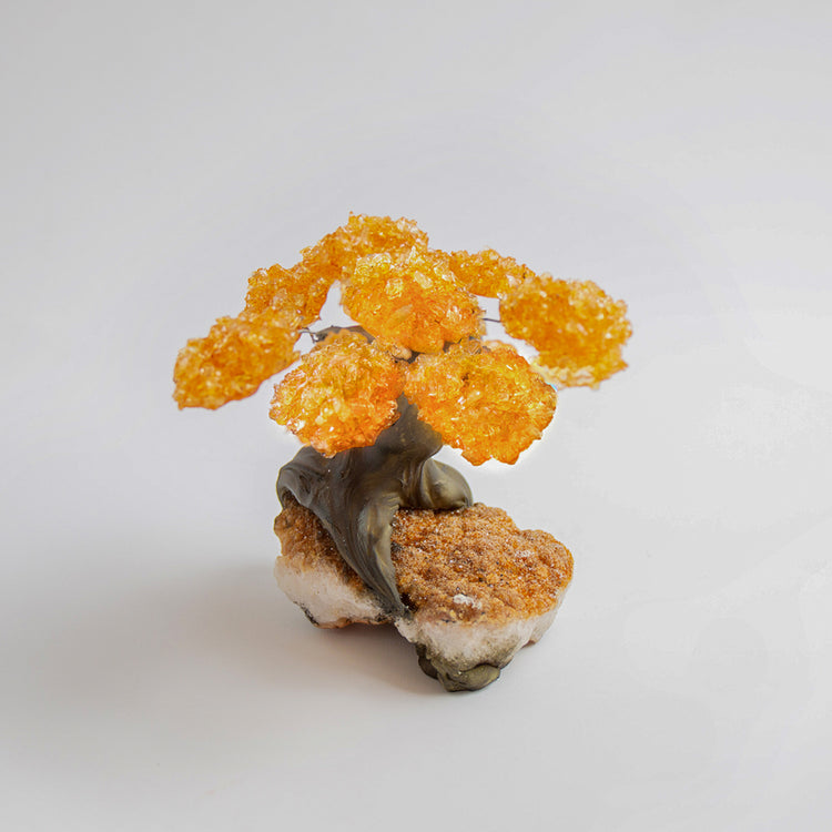 brookstone Medium - Genuine Citrine Clustered Gemstone Tree on Citrine Matrix (The Calming Tree)