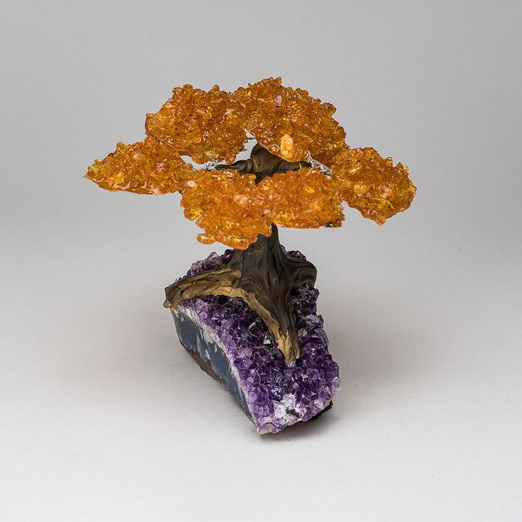 brookstone Medium - Genuine Citrine Clustered Gemstone Tree on Amethyst Matrix (The Money Tree)