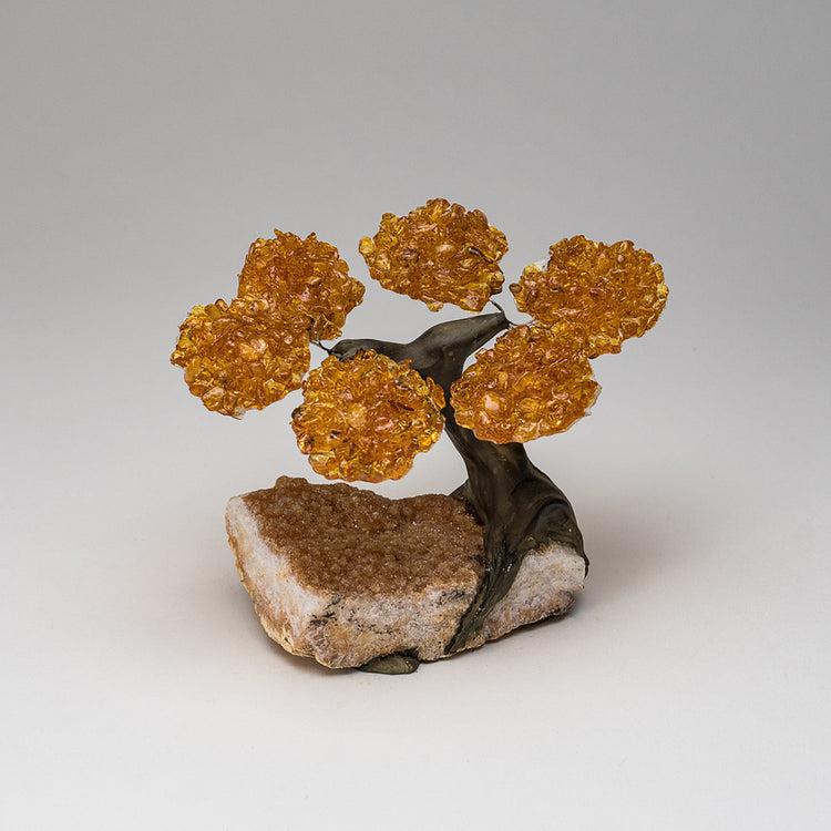 brookstone Small Citrine Clustered Gemstone Tree on Citrine Matrix (The Money Tree)
