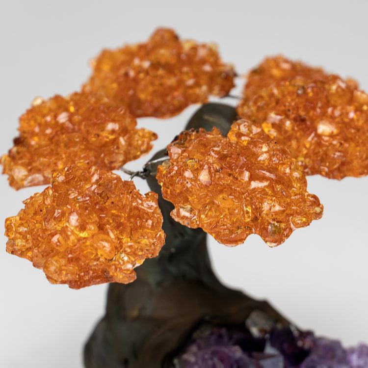 Brookstone Small - Genuine Citrine Clustered Gemstone Tree On Amethyst Matrix (The Money Tree)