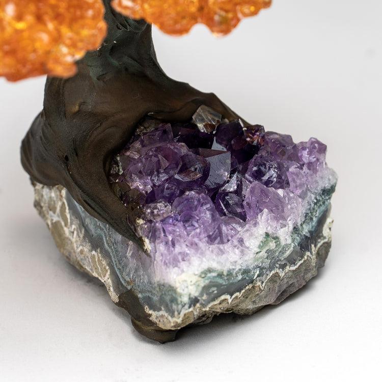 Brookstone Small - Genuine Citrine Clustered Gemstone Tree On Amethyst Matrix (The Money Tree)