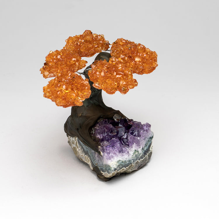 brookstone Small - Genuine Citrine Clustered Gemstone Tree on Amethyst Matrix (The Money Tree)