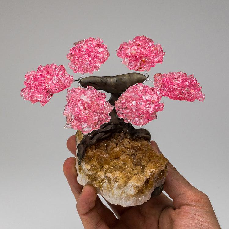 Brookstone Small Rose Quartz Clustered Gemstone Tree On Citrine Matrix