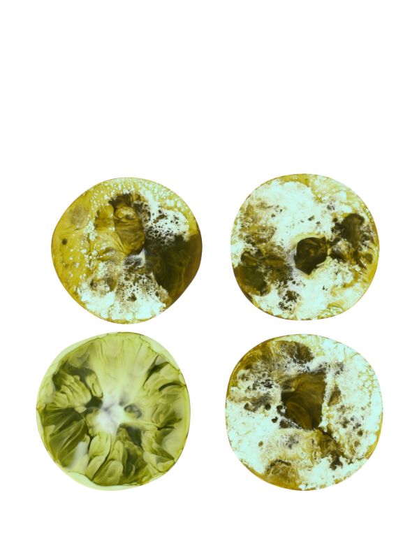 Browns Dinosaur Designs Boulder Coasters Set | Browns Decorative Objects