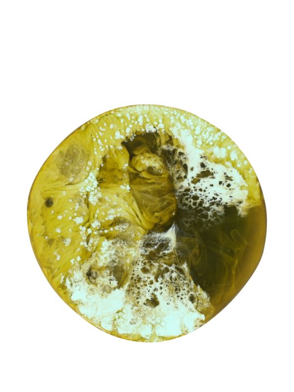 Browns Dinosaur Designs Boulder Coasters Set | Browns Decorative Objects