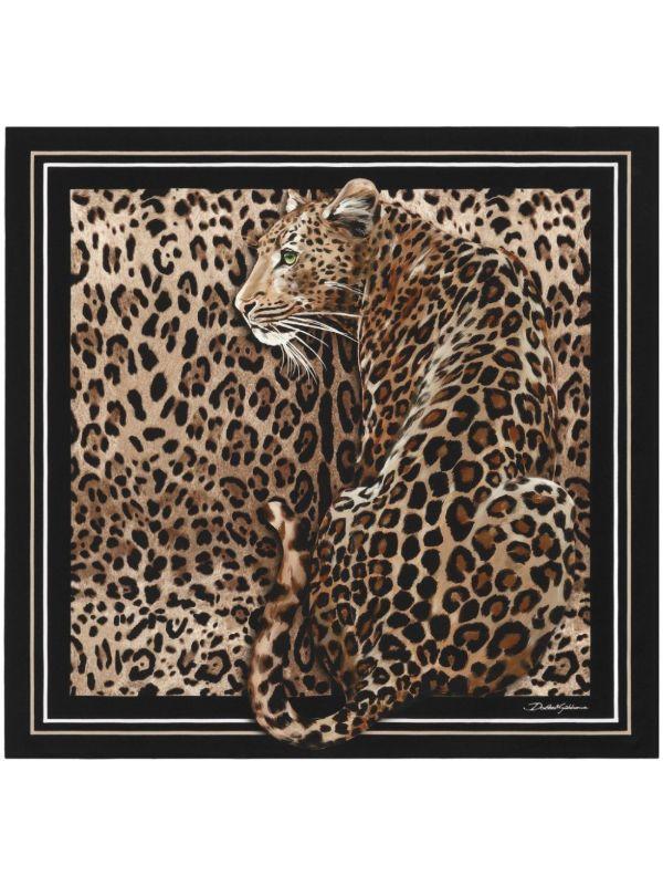 browns Dolce & Gabbana leopard-print scarf | Browns Scarves