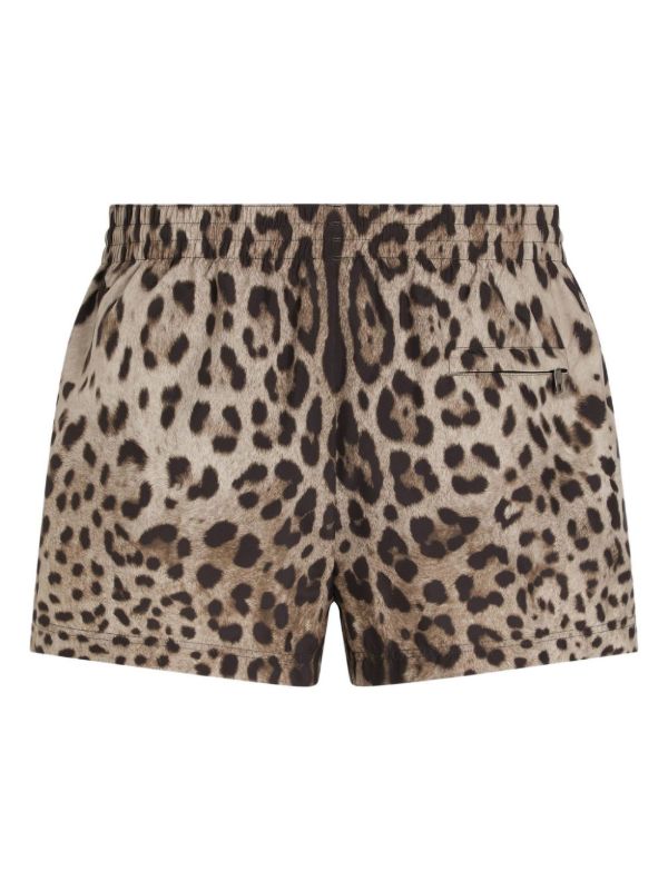 Browns Dolce & Gabbana Leopard-Print Shorts | Browns Short & Mini Shorts