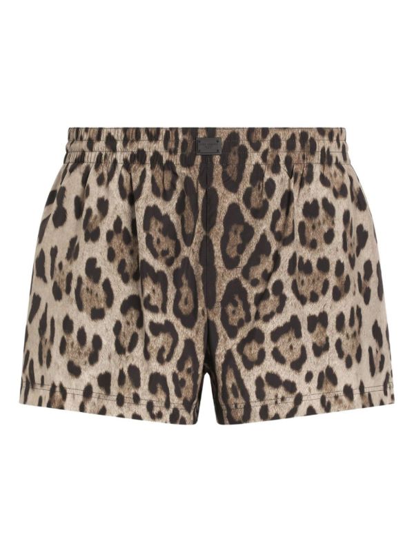 browns Dolce & Gabbana Leopard-Print Shorts | Browns Short & Mini Shorts