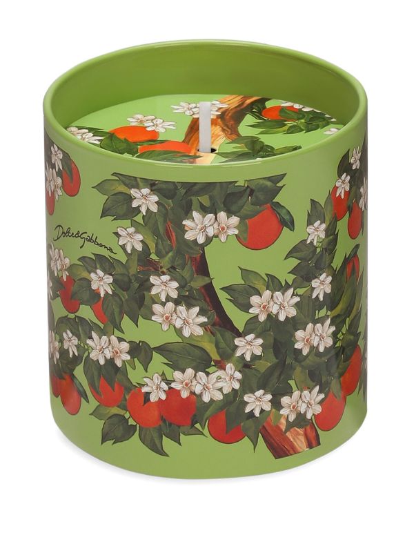 Browns Dolce & Gabbana Sicilian Orange Candle (380g) | Browns Candles